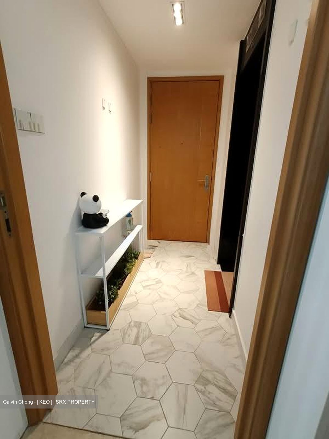 Park Infinia At Wee Nam (D11), Condominium #561035361